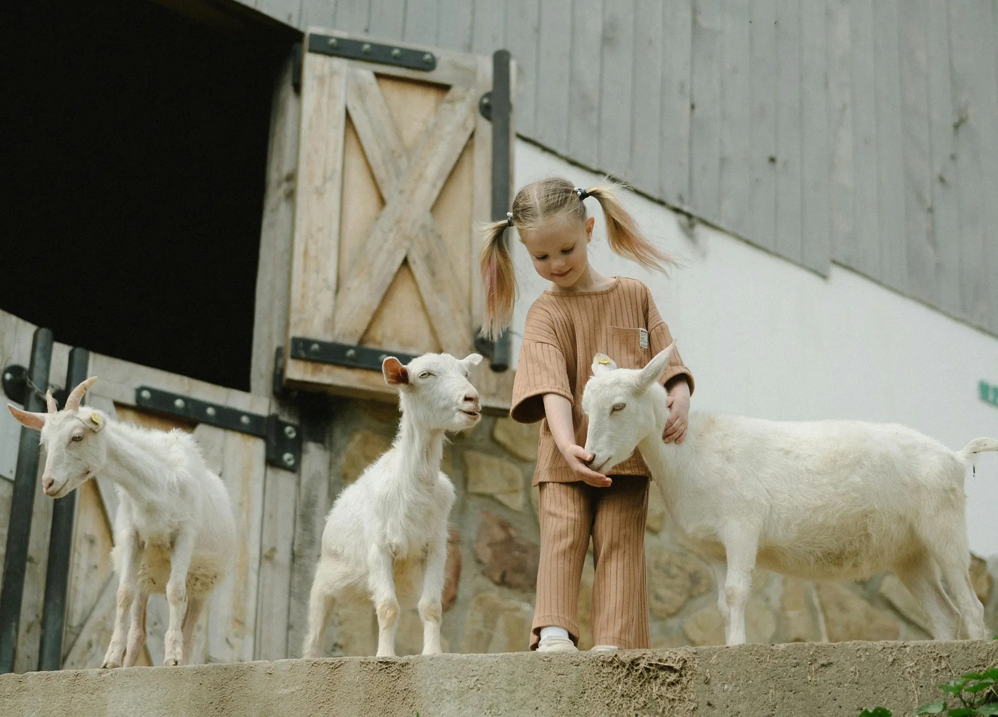 Een meisje met geitjes op een zorgboerderij