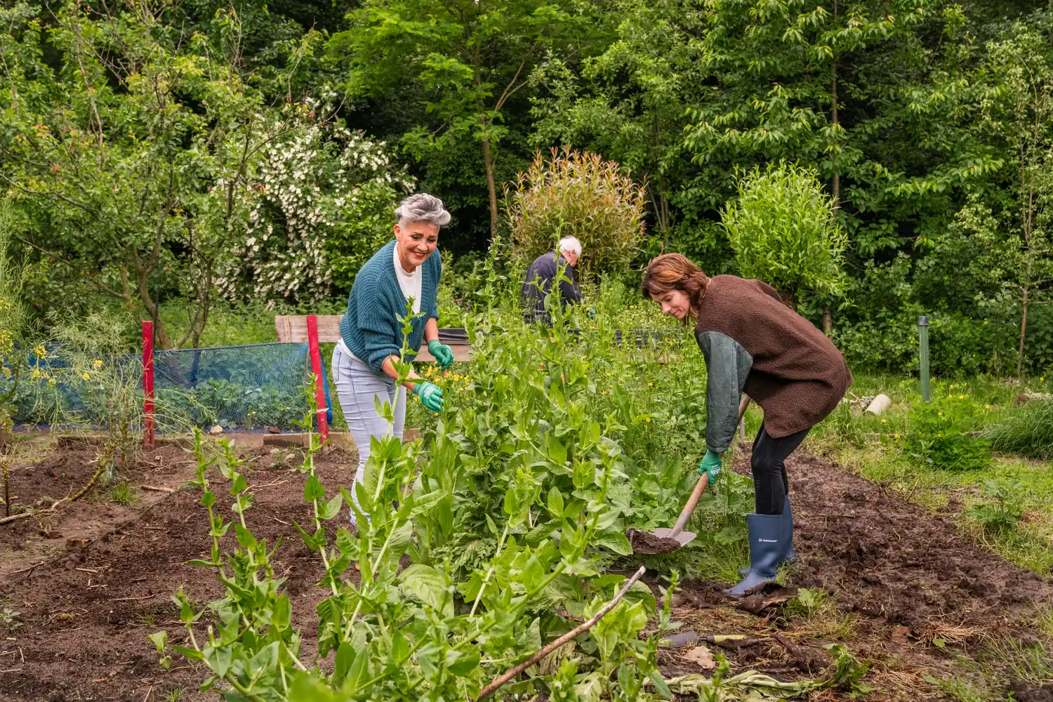 Buurtbewoners maken samen de buurt beter door te tuinieren in de buurtmoestuin.